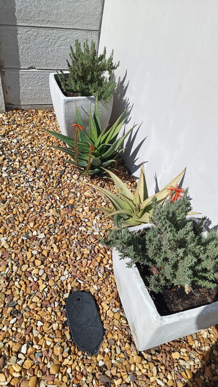 To Let 3 Bedroom Property for Rent in Parklands North Western Cape